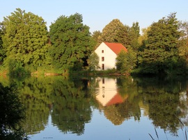 Reggeli fényben