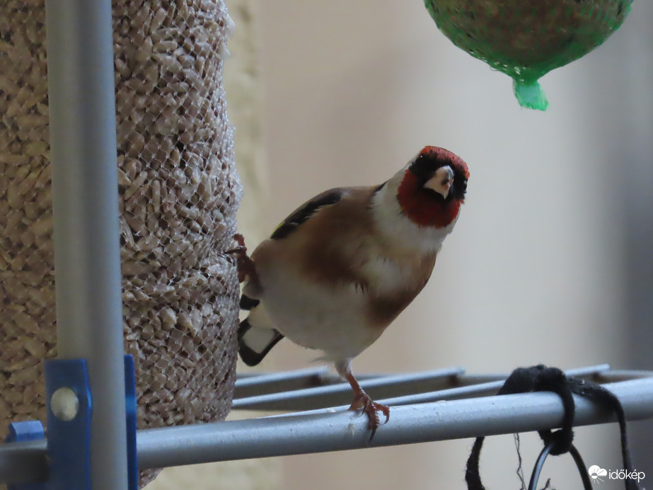 Sziasztok! Itt még nem jártam!