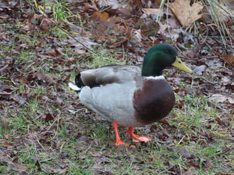 Körülnézek a parton