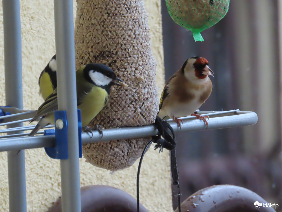 Egyetértésben falatozunk