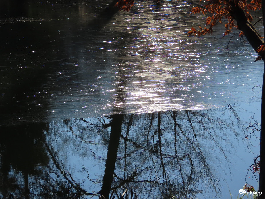 Jég és víz határa