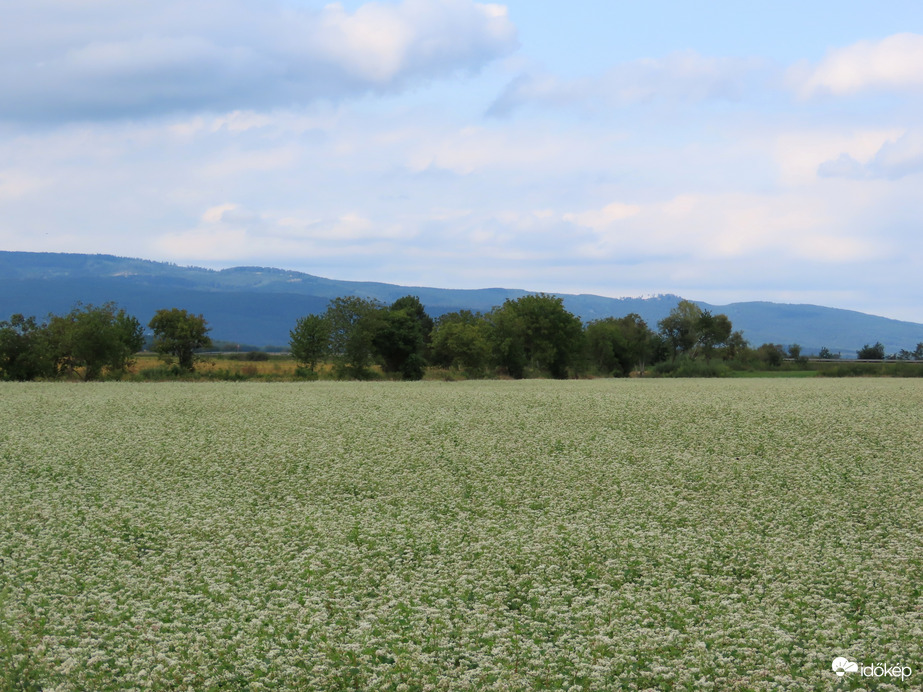 Végeláthatatlan hajdinatábla