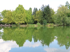 Nyugodt víztükör