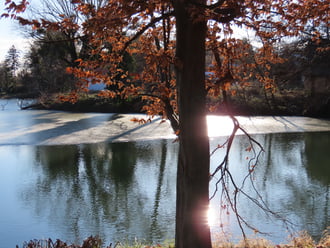 Árnyékok jégen és vízen