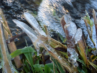 Jégbe fagyott fűszálak 2.