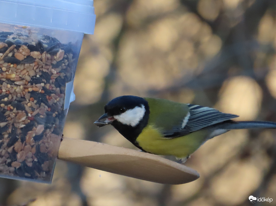 Sok finomság van itt!