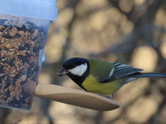 Sok finomság van itt!