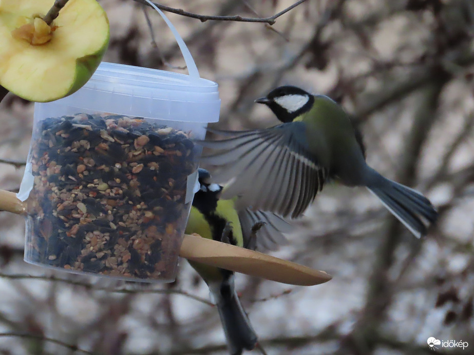 Hurrá! Feltöltötték!