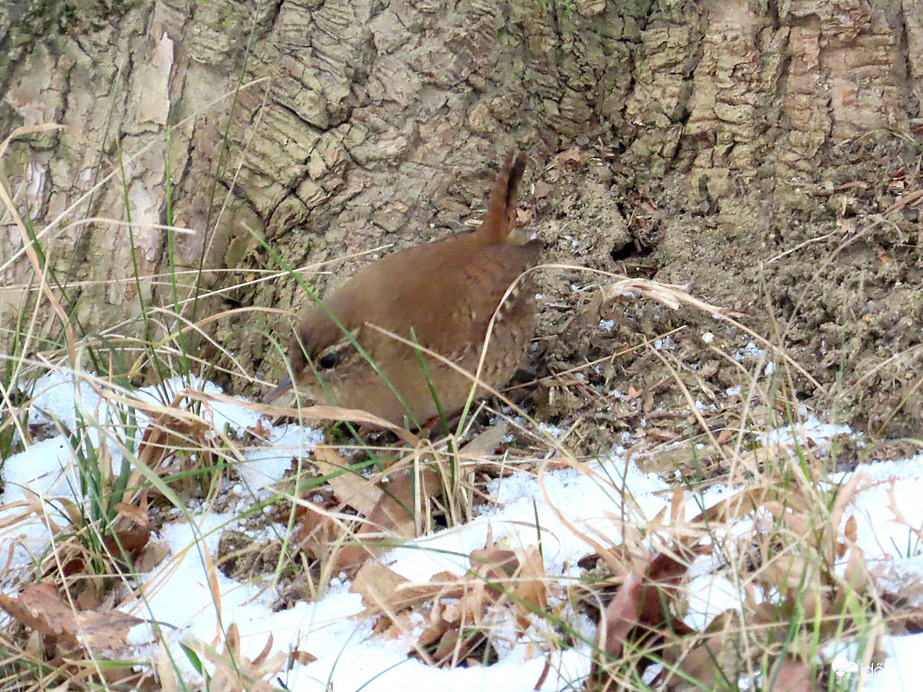 Ma végre találkoztam vele