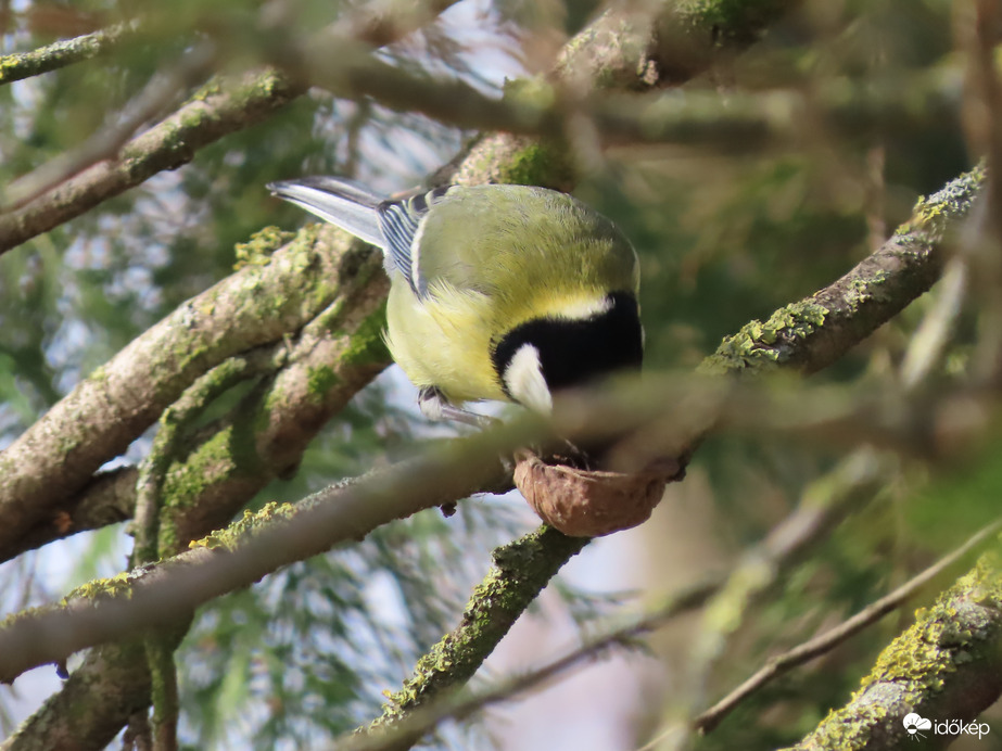 Hogy került ez ide? Megnézem