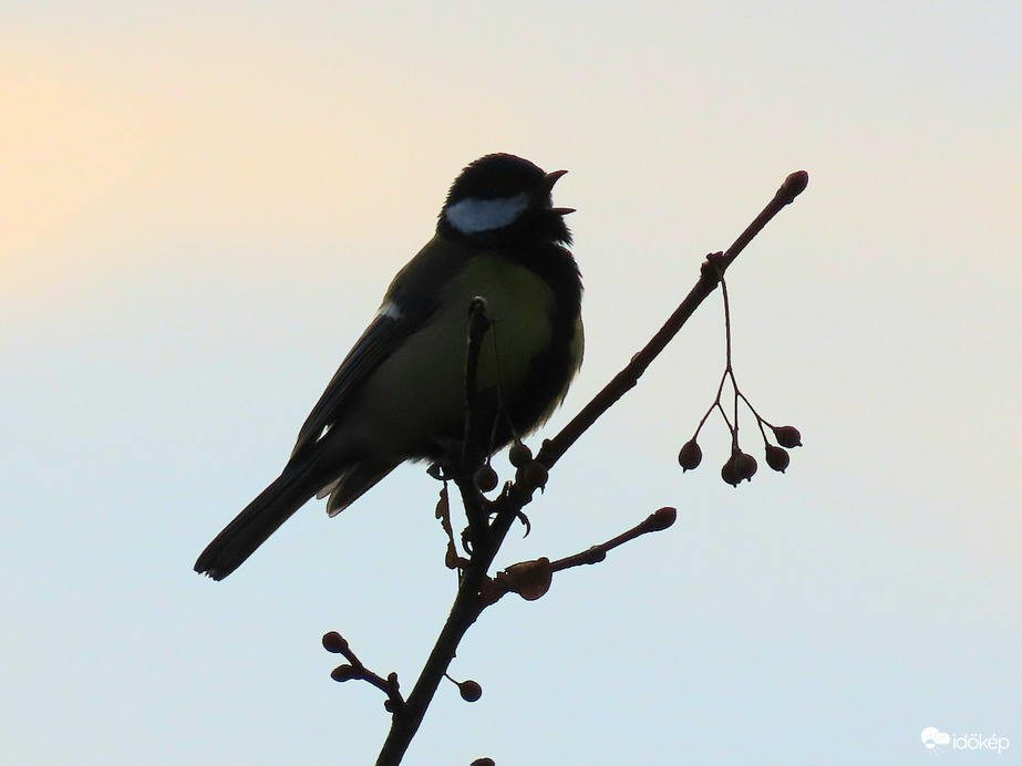 Köszöntöm a reggelt!