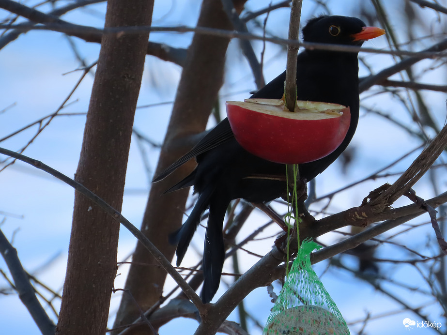 Felborzolta a szél a frizurámat!