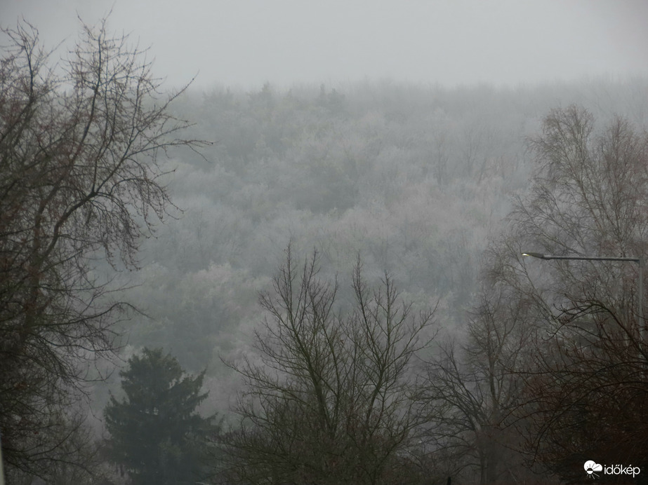 Zúzmarás domboldal a ködben