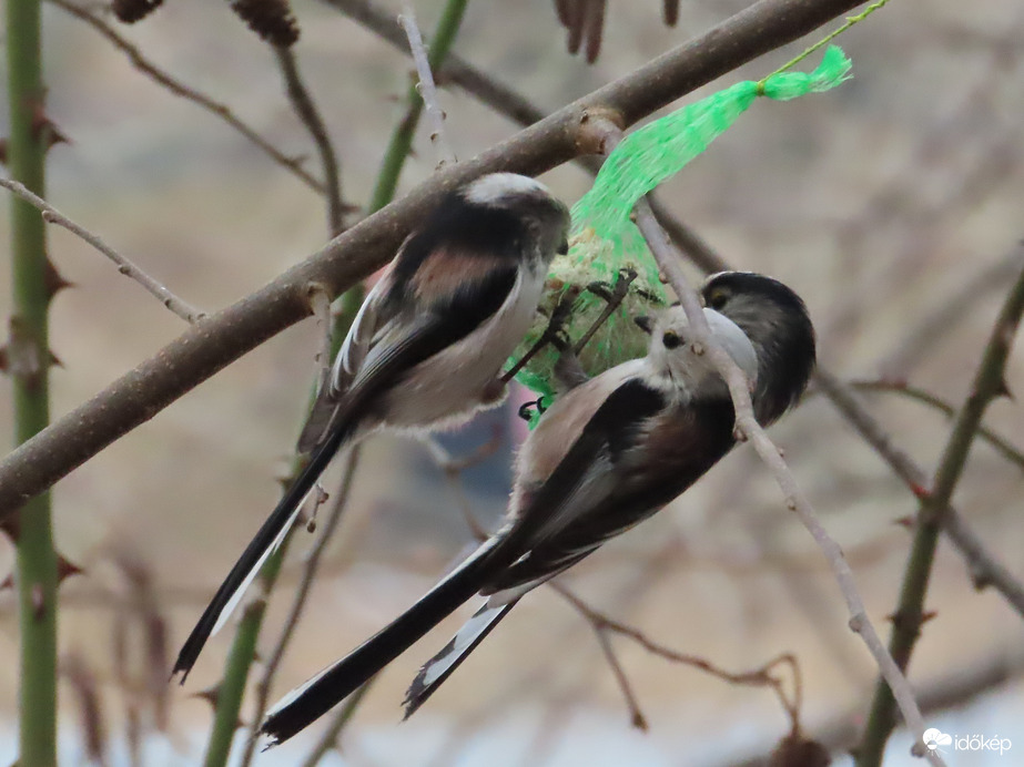 Hárman is elférünk!