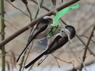 Hárman is elférünk!