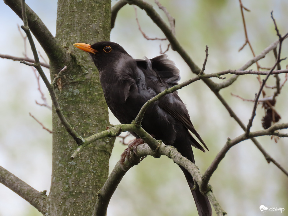 Jól meg kell kapaszkodnom!