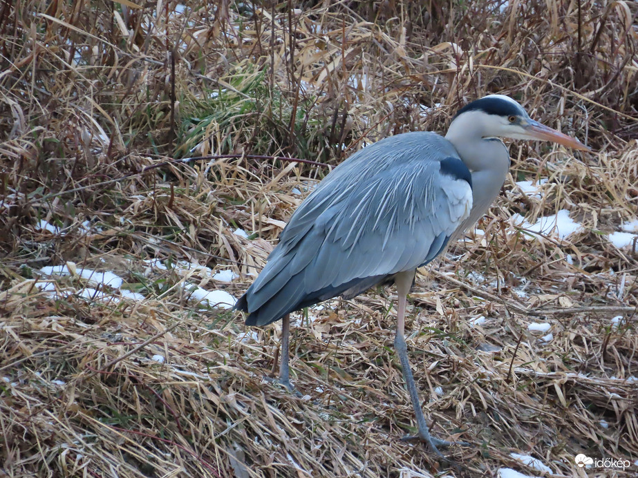 Sietek le a patak partjára