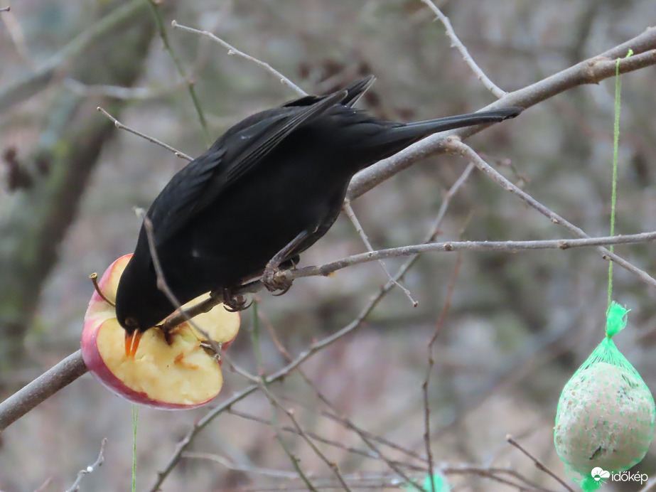 Ezt is megkóstolom!
