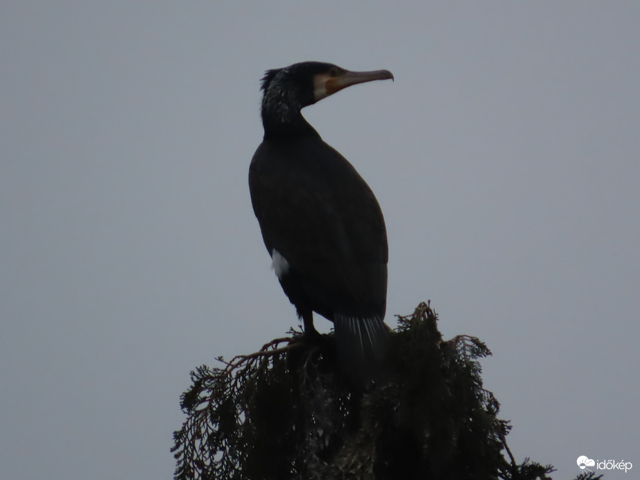 Innen mindent jól látok!