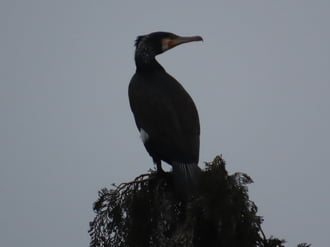 Innen mindent jól látok!