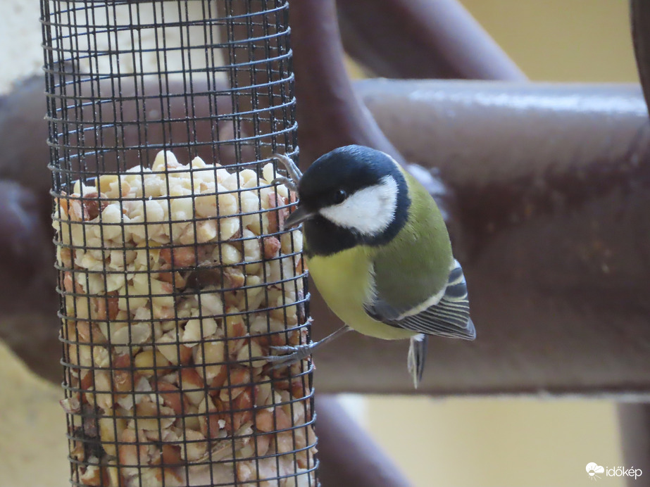 Itt mindig van finomság!