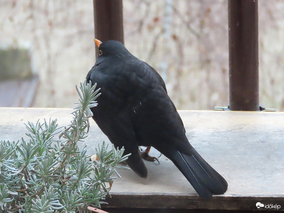 Szeretek itt üldögélni!