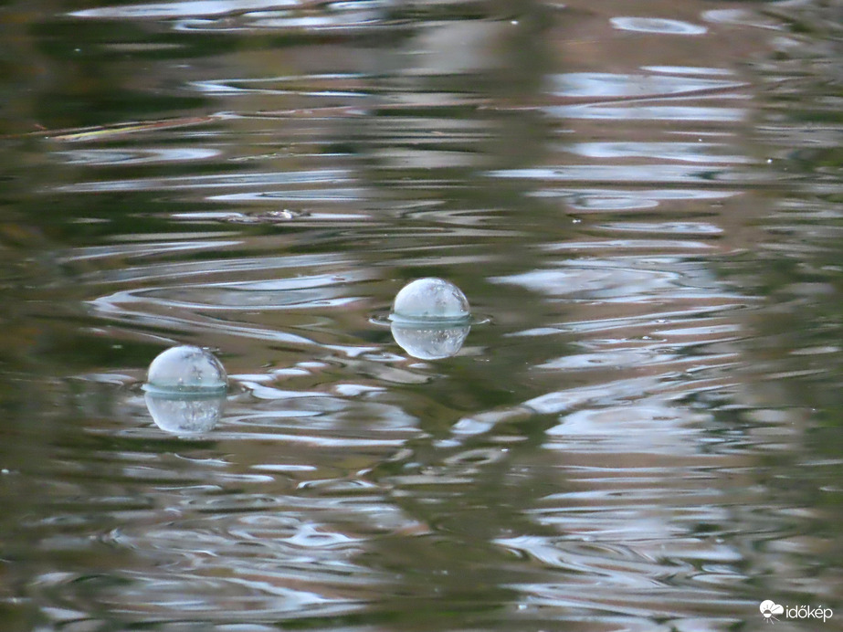 Ágról lehulló ködcseppek