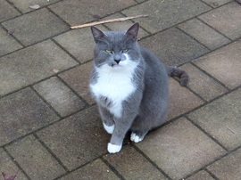 Meddig álljak itt? Fázik a talpam!