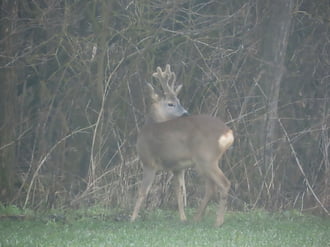 Észrevett bennünket