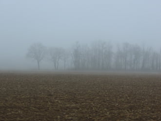 Mindenütt köd, amerre jártunk
