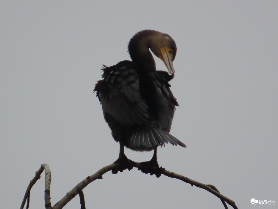 Ugye így szép leszek?