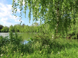 A Horgásztó partján