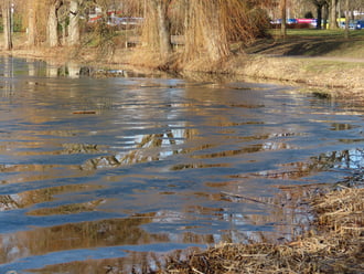 Napfényes délután a Csónakázó-tónál