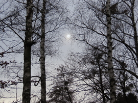 Próbálkozott a Nap