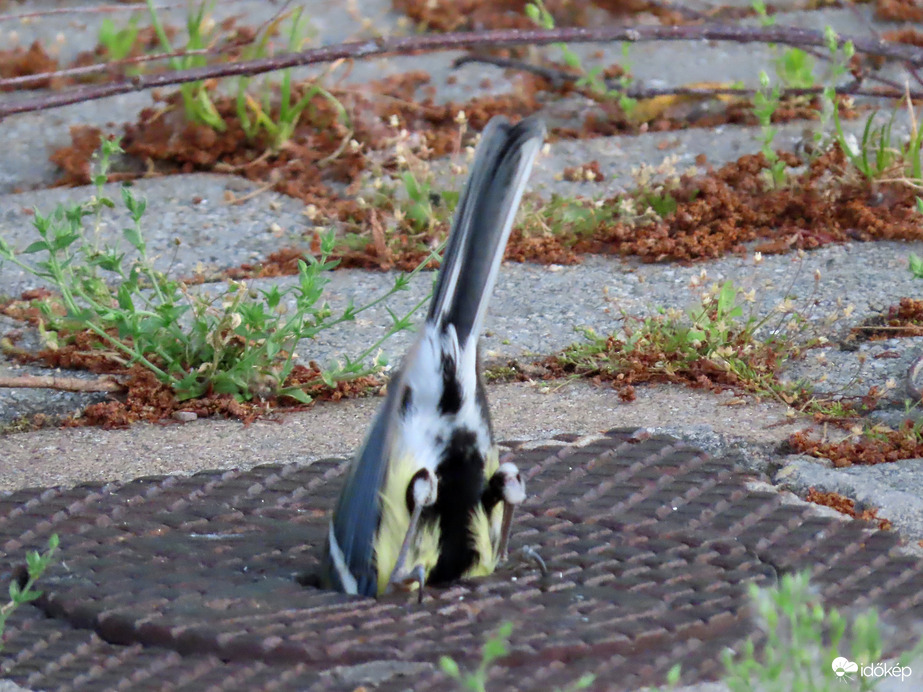 Reggeli sürgés-forgás!