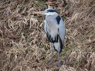 Ezt a helyet kibéreltem!
