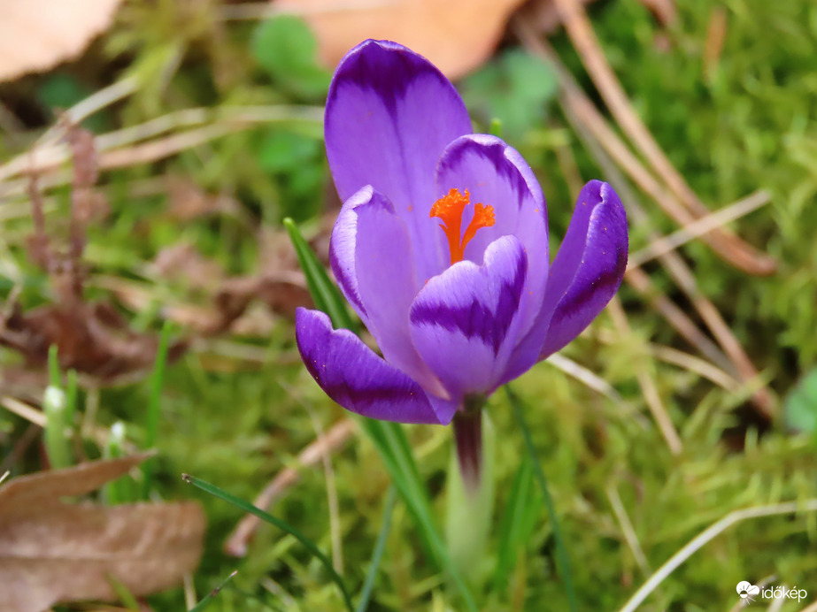 Ébred a természet a Kámoni Arborétumban