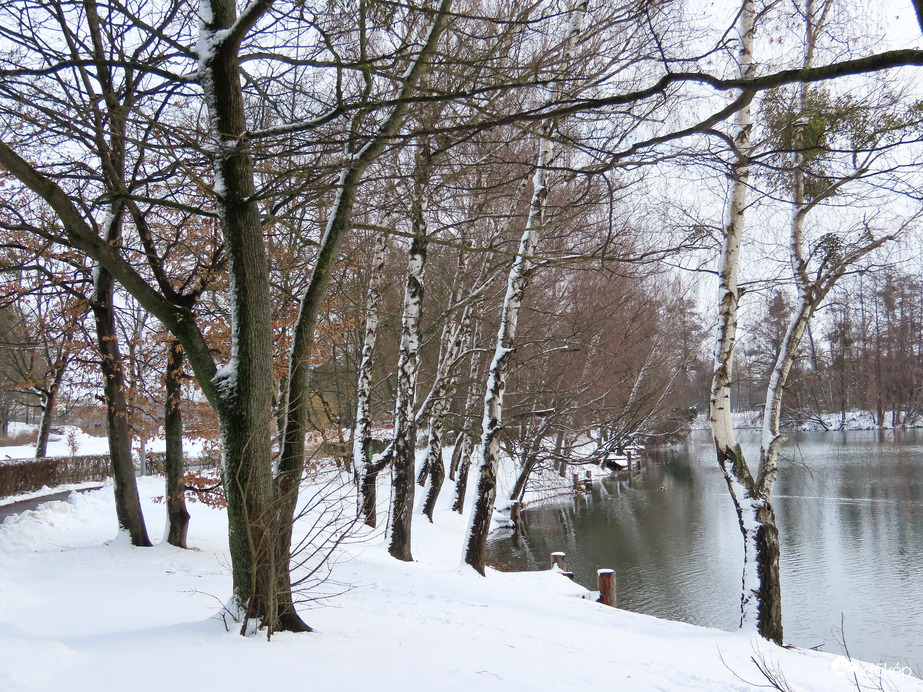 A Horgásztó partján