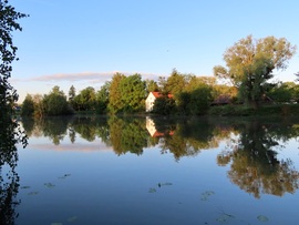 Horgásztó kora reggel