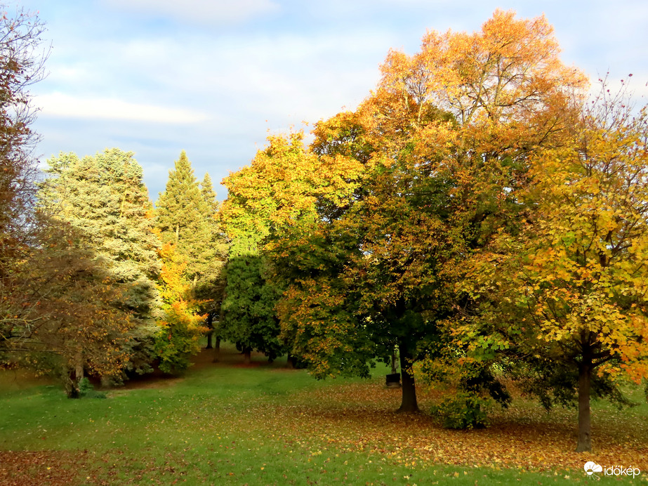 Az Emlékmű-domb fái