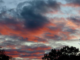 Hazafelé felnéztem az égre