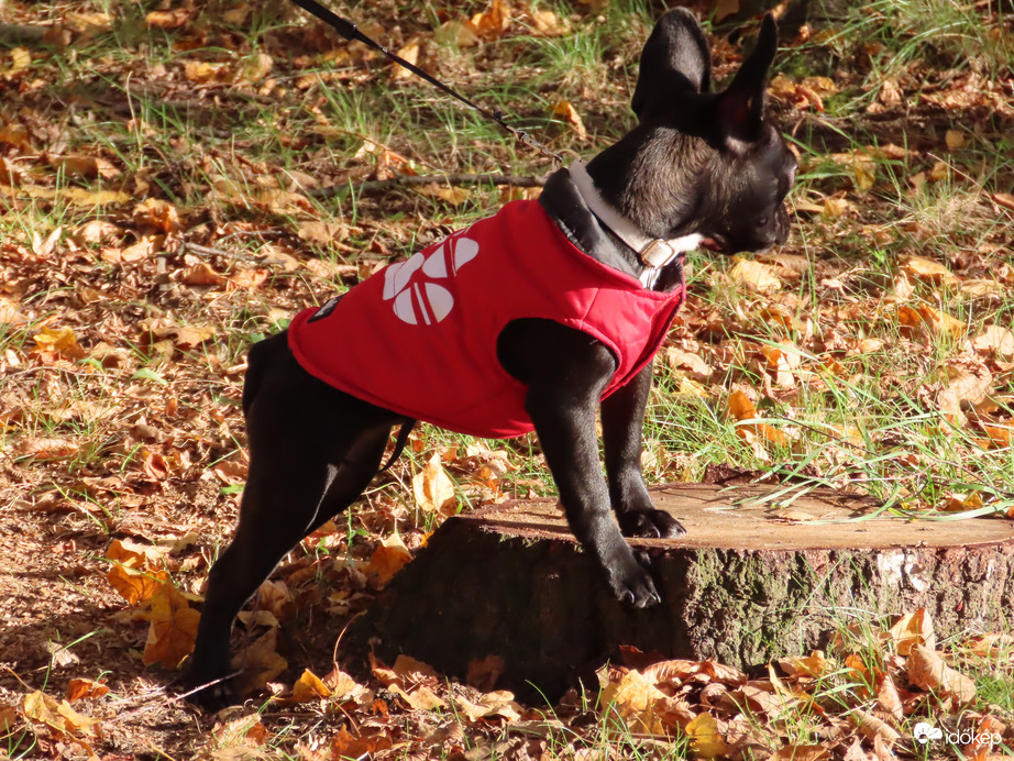 Így magasabb vagyok!