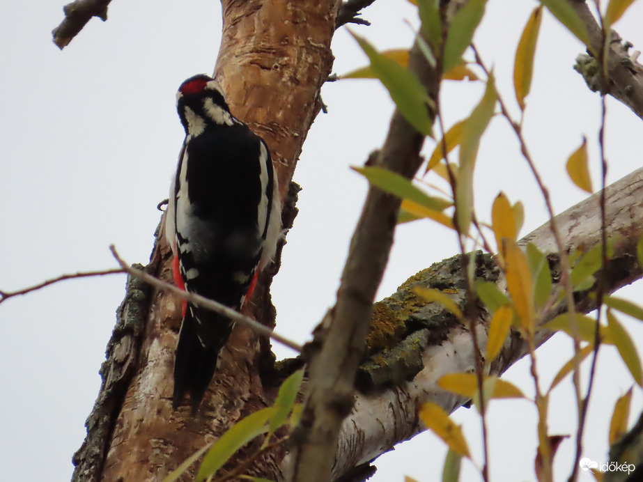 Ma is szorgalmas voltam!