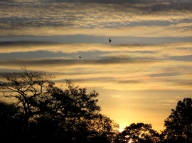 Amikor felkelt a Nap