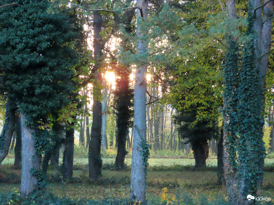 A Nap gyorsan "megette" a ködöt