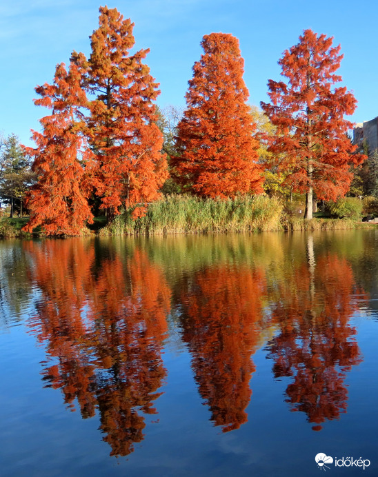 Megunhatatlan látvány