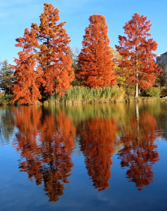 Megunhatatlan látvány