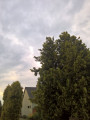 Harkány