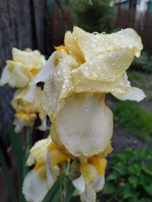 Budapest IX.ker - Ferencváros