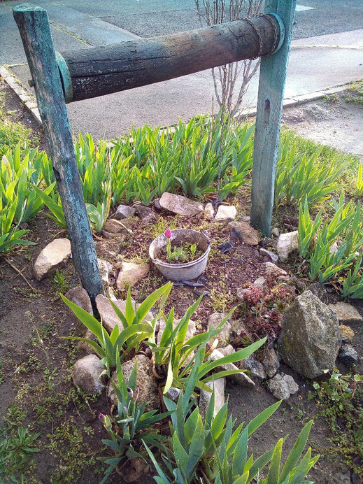 Budapest IV.ker - Káposztásmegyer